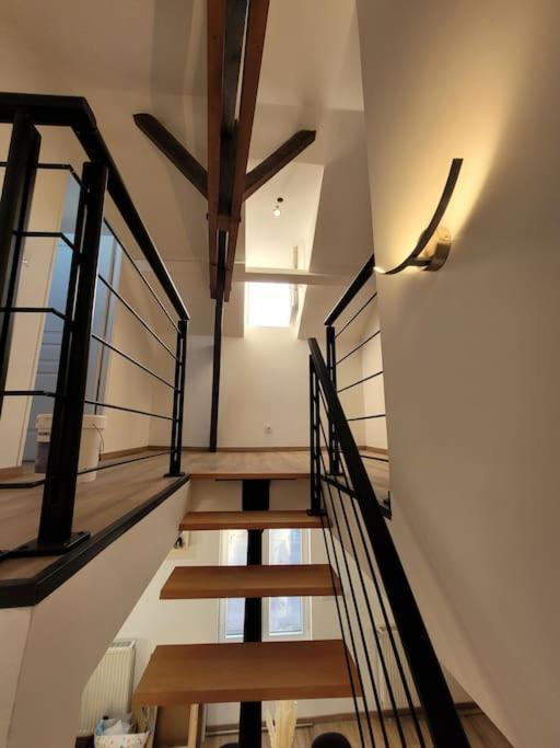 Splendide Duplex Διαμέρισμα Saint-Dizier Εξωτερικό φωτογραφία